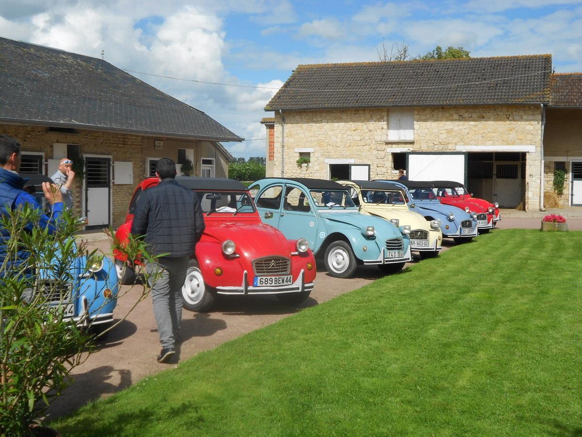 Visite haras normandie groupe