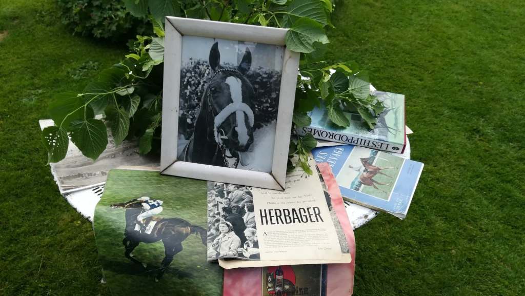 Visite haras normandie famille